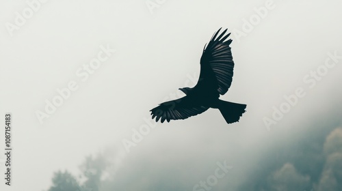 Majestic Silhouette of a Bird in Flight Against a Soft, Misty Background, Capturing the Essence of Freedom and Grace in Nature's Embrace