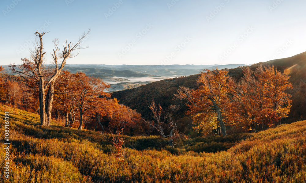 Majestic view of Carpathian mountains, autumn season Majestic view of Carpathian mountains, autumn season