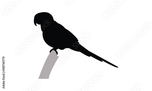 Parrot Silhouette Design  And Vector Illustration. 