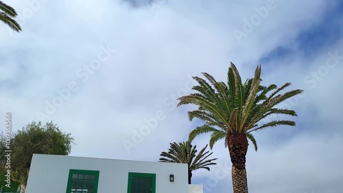 Palm trees shaking in the wind. Clouds at high speed over palm trees and buildings. Lanzarore. Canary Islands. photo