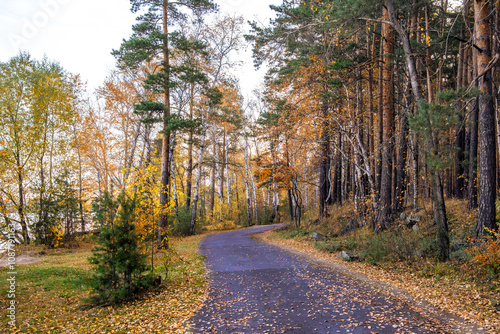 A road for walking in the autumn forest.