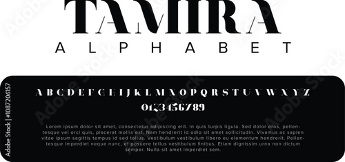 Luxury Tamira Stylish alphabet letters font for logo