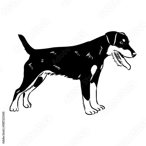 German Jagdterrier dog, vector sketch . Hand drawn ink realistic sketching isolated on white.