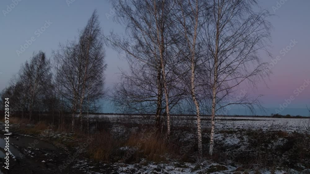 Autumn landscape with bare trees and first snow at dusk. Frosty evening. Nature background Autumn landscape with bare trees and first snow at dusk. Frosty evening. Nature background