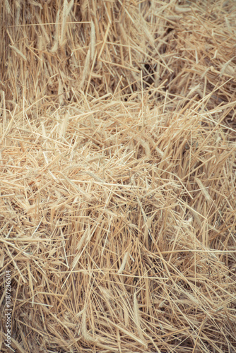 Bales of hay or straw. Background or wallpaper texture