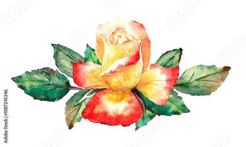 Yellow-red rose bud with leaves in color watercolor clip art
