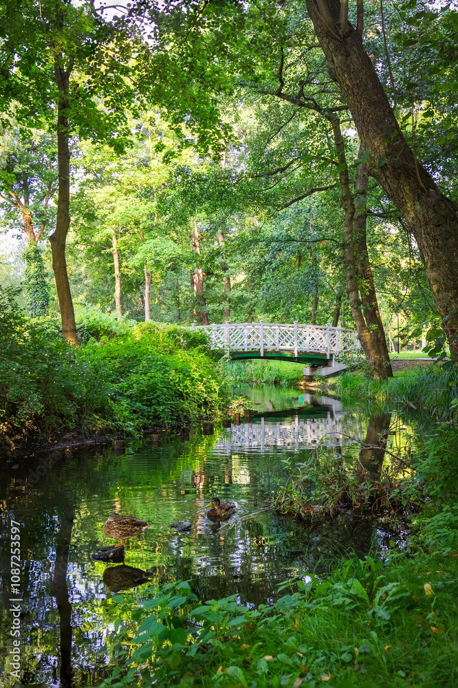 Elegant white wooden bridge on a park in Sopot - Poland Elegant white wooden bridge on a park in Sopot - Poland