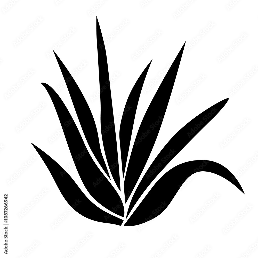 Fototapeta premium Aloe Vera Tree