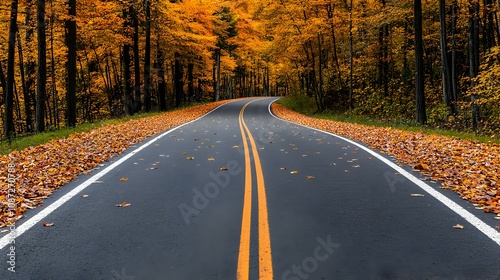 Autumn Roadway Through Colorful Forest - Scenic Highway Surrounded by Vibrant Orange and Yellow Leaves Evoking a Cozy Nostalgic Atmosphere in Fall