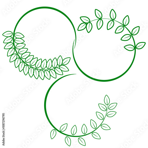 Different green leaves of trees and plants, leaf and swirls branches shapes collection. Stock vector contour icons isolated white background for ecographic, natural design, vegan logo, bio labels photo