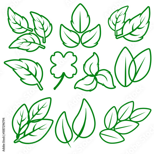 Different green leaves of trees and plants, leaf and swirls branches shapes collection. Stock vector contour icons isolated white background for ecographic, natural design, vegan logo, bio labels photo