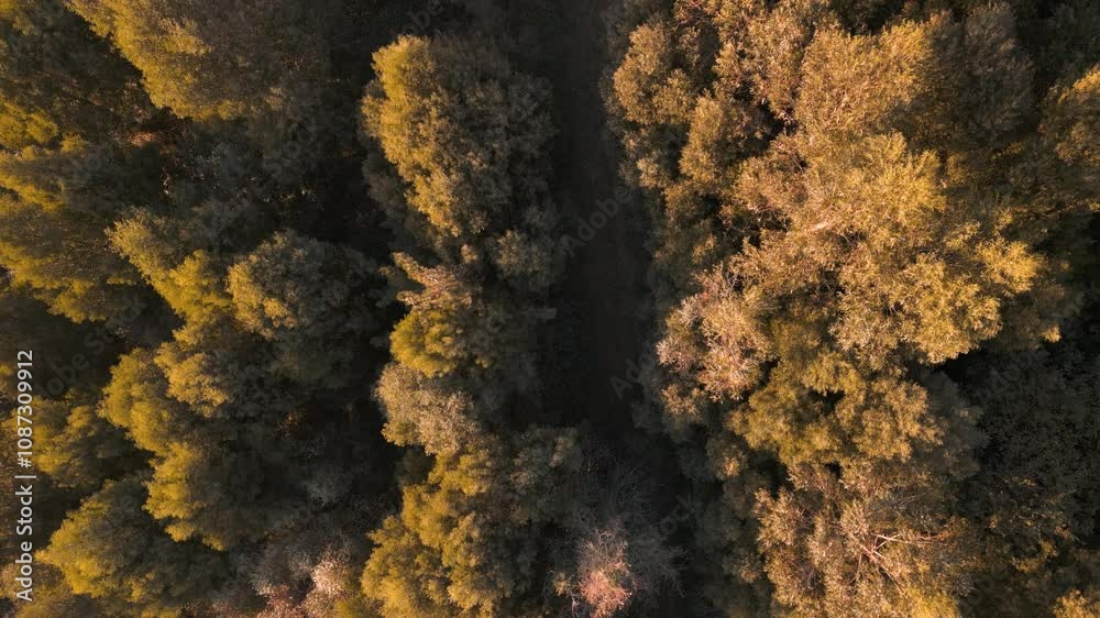 Aerial View Of Woods In The Mountain Hike Of Lago das Encrobas In A Coruna, Spain. Aerial View Of Woods In The Mountain Hike Of Lago das Encrobas In A Coruna, Spain.