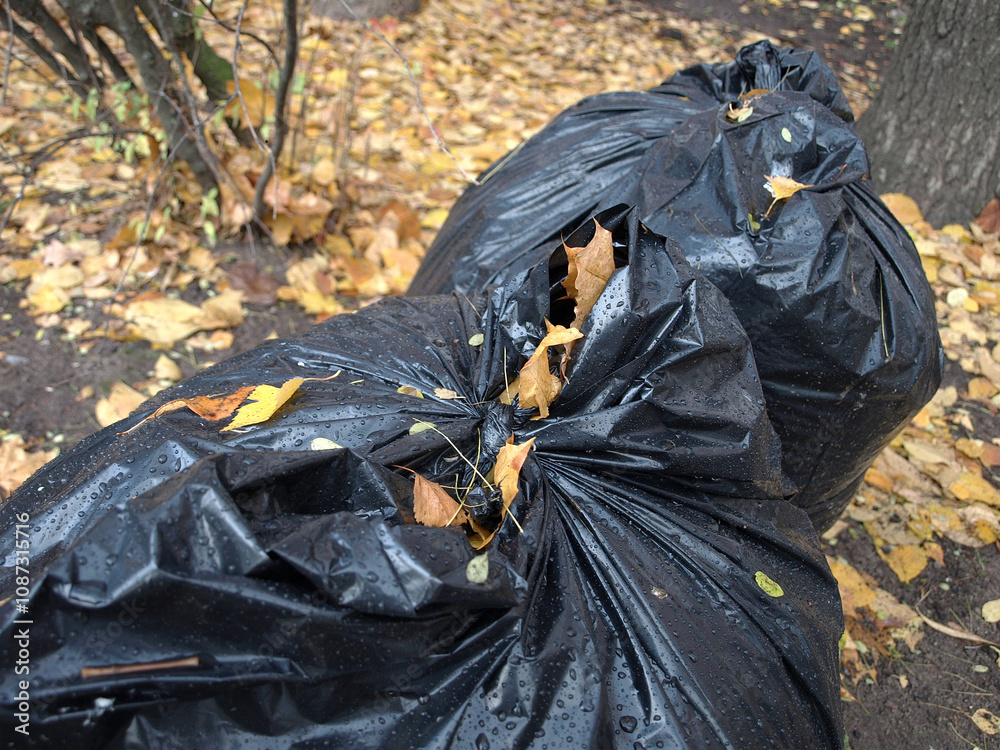 Black bags with autumn leaves. Autumn street cleaning. Black bags with autumn leaves. Autumn street cleaning.