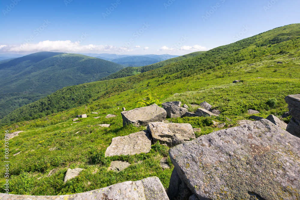 Naklejka premium summer landscape in mountains. scenic scenery. sunny morning. smooth highlands of carpathian range in ukraine. grassy slopes with stones. beautiful view in to the distance. green environment