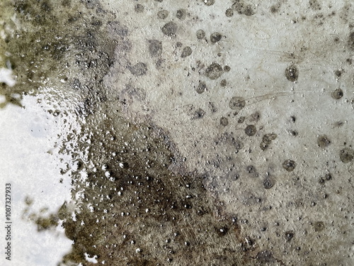 The image depicts a textured surface with dark spots and patches, suggesting the presence of mold or mildew on a light background.