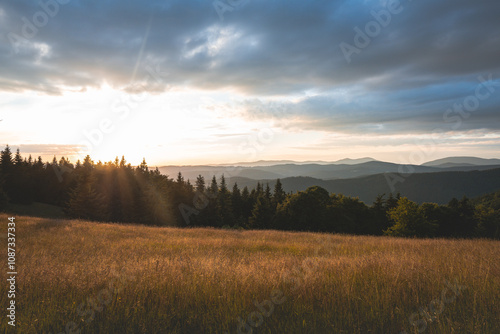 Serene sunset over rolling hills and fields with a backdrop of evergreen forests. A tranquil moment capturing the golden glow of nature in a peaceful, scenic landscape