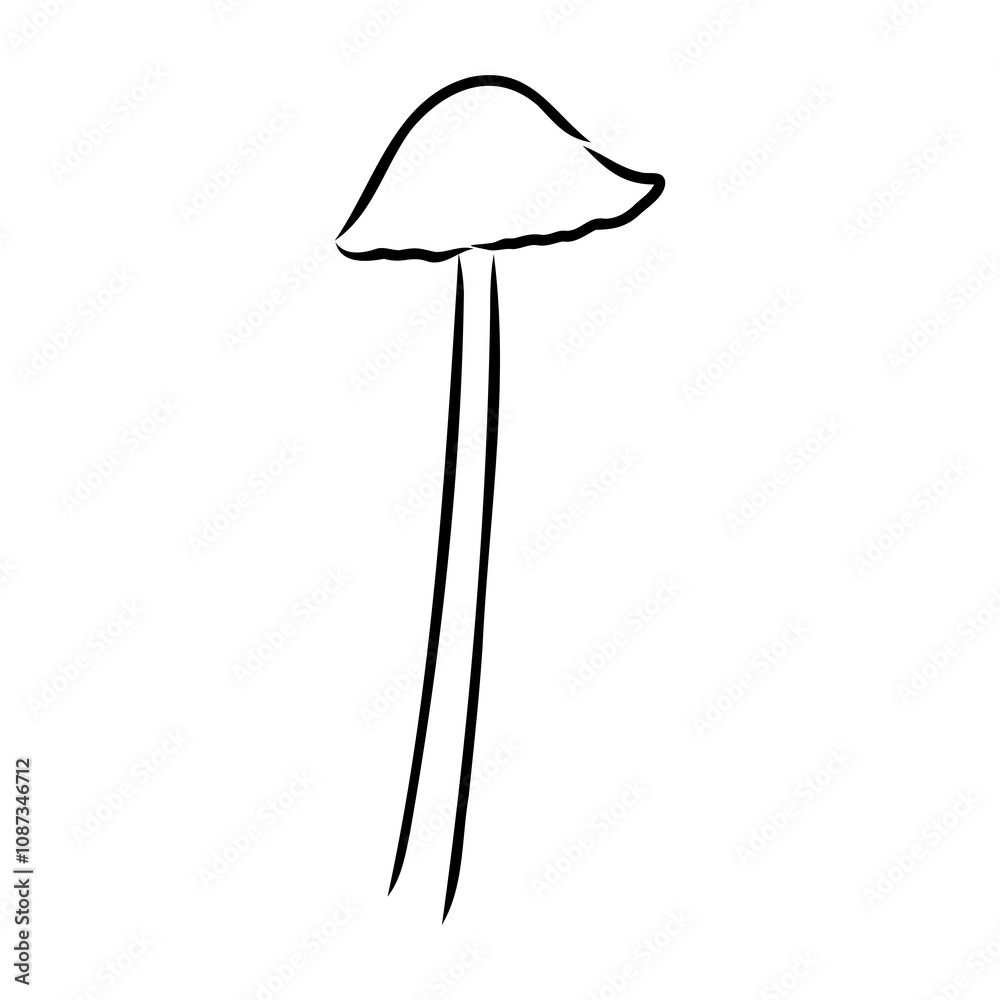 Toadstools, , vector illustrations. Sketch style, toadstool mushroom, vector Toadstools, , vector illustrations. Sketch style, toadstool mushroom, vector