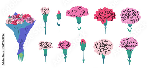 Cartoon Color Different Carnation Set Symbol of Mothers Day Concept Flat Design Style Include of Bouquet and Bud. Vector illustration