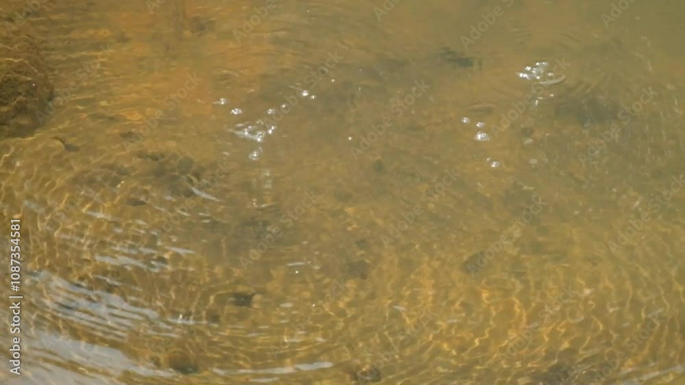 Water bubbles from a clear river spring. The river water is clear and looks natural. Ground water springs seen from above. Nature and environmental concepts. Natural water sources. Real time. Water bubbles from a clear river spring. The river water is clear and looks natural. Ground water springs seen from above. Nature and environmental concepts. Natural water sources. Real time.