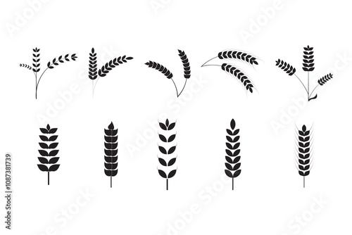 set of Wheat ears icon. Wheat and Rice icon. wheat with ears icon. vector illustration.