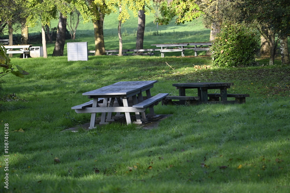 Table de pic nic dans un parc Table de pic nic dans un parc