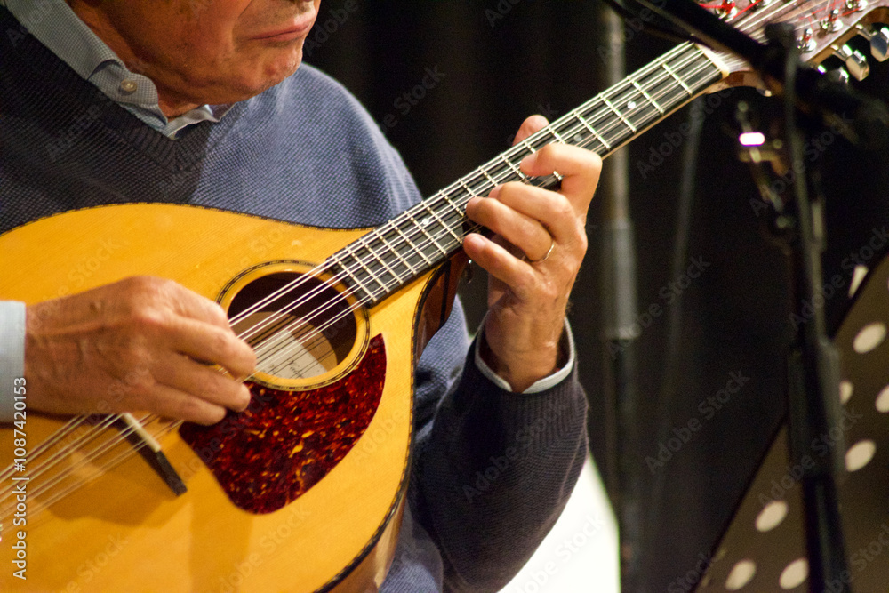 Obraz premium close-up of musician hands that play an mandolin in a theatre concert