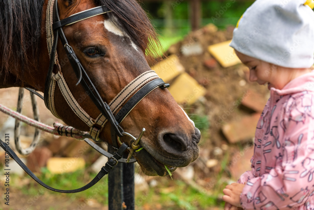 Fototapeta premium Happy child with a Horse outdoors