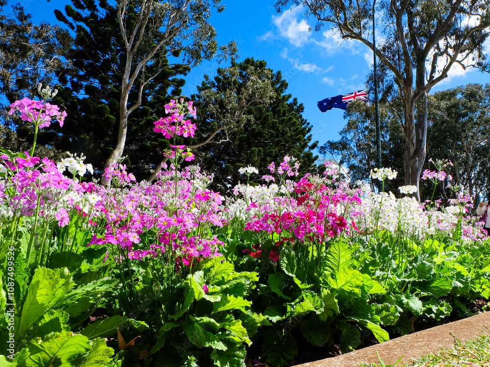Public Park and Toowoomba Carnival of Flowers Public Park and Toowoomba Carnival of Flowers