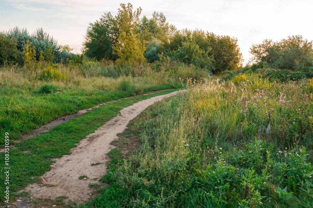 A rural path through the grass in summer. A rural path through the grass in summer.