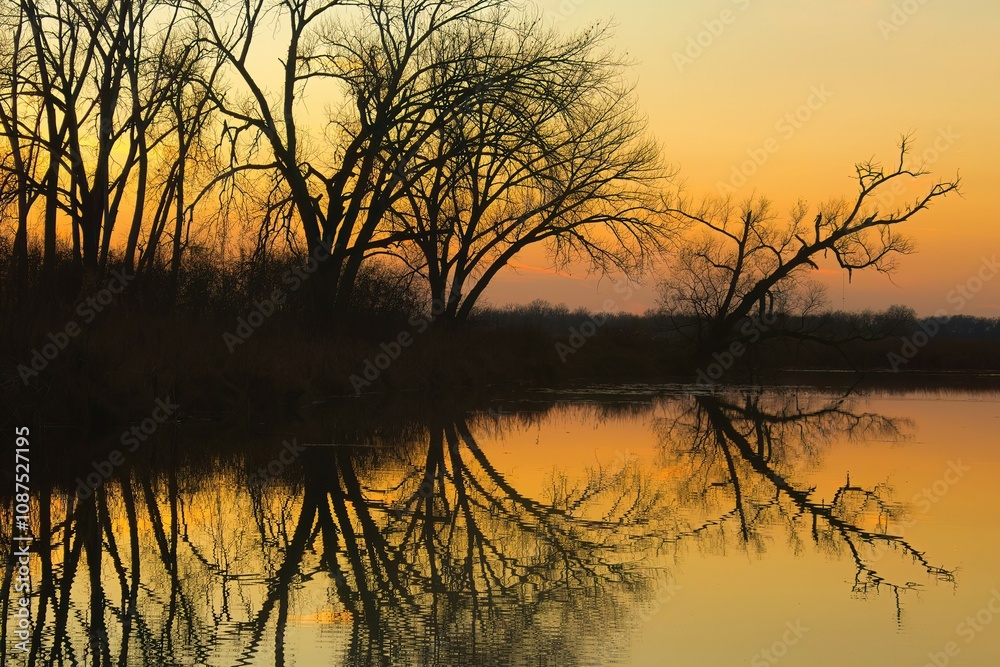 Naklejka premium Beautiful late-Autumn landscape captured at Horicon Marsh in Dodge County, Wisconsin, as the sun sets on a peaceful river reflecting silhouetted trees beneath an orange sky.