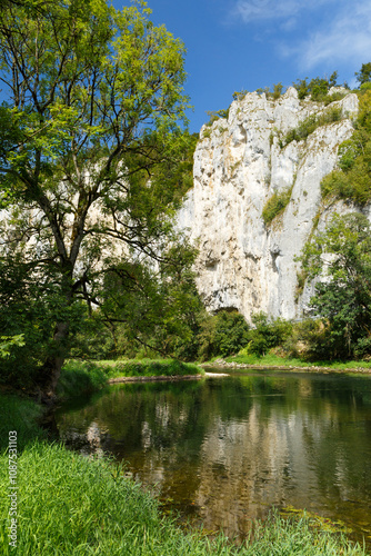 Obere Donau bei Thiergarten im Landkreis Sigmaringen (Schwäbische Alb) photo