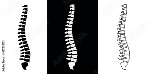 Set of spinal column illustrations in black, white, and outline styles.