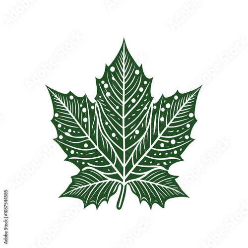 green leaf isolated on white