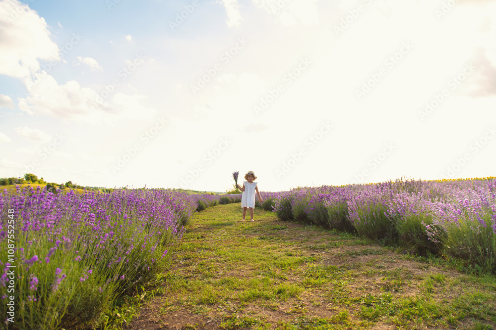 Fototapeta premium Child girl in lavender field. Selective focus.