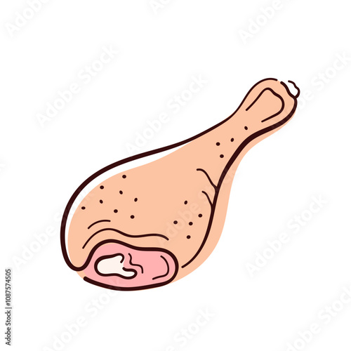 Raw chicken drumstick with detailed skin texture and a visible bone end in flat style. Perfect hand drawn design for food, shop, market, poultry or menu restaurant. Isolated on white background.