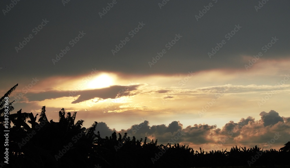 Obraz premium photo of a clear afternoon sky, evening sunset with clouds and yellow sky and silhouettes of plants