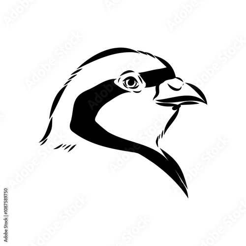 Asian partridge, vector sketch, chukar