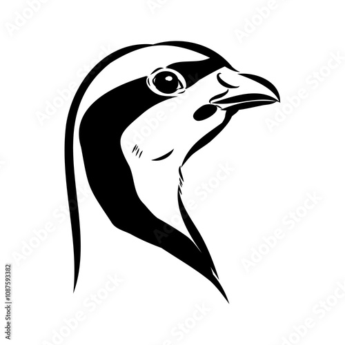 Asian partridge, vector sketch, chukar