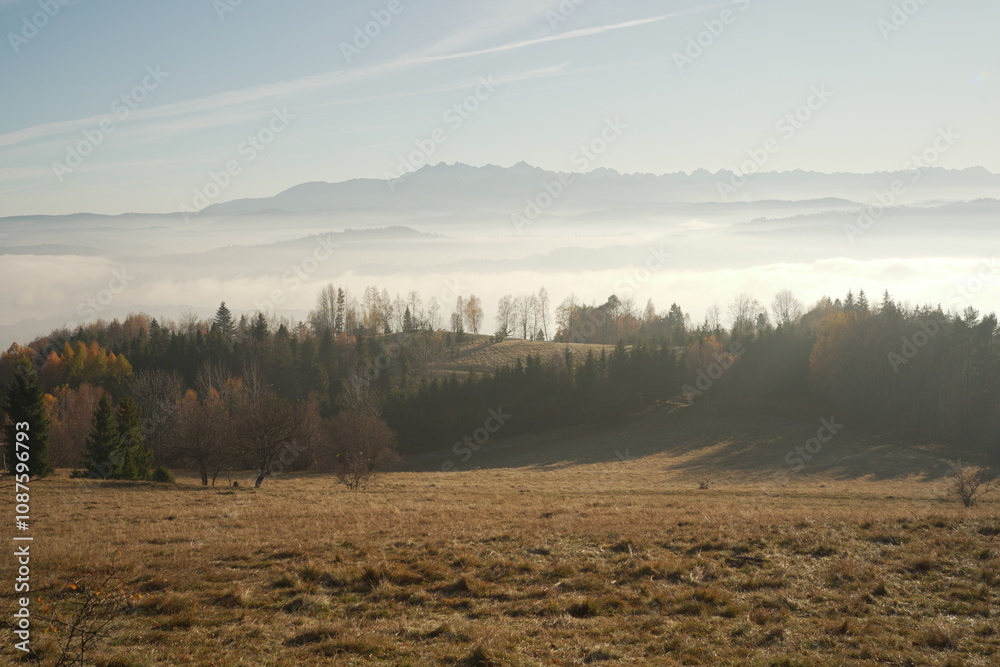 Obraz premium morning mist in the mountains