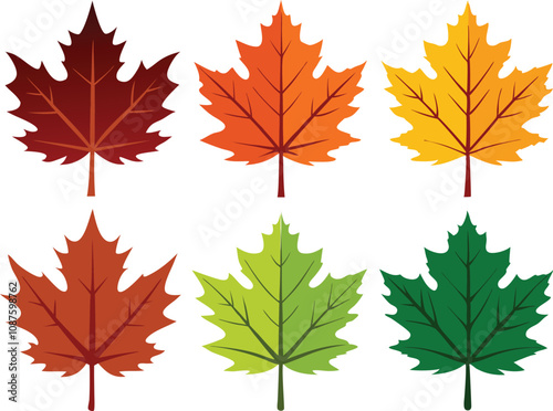 Vector Silhouette Icon Set of Maple Leaves in Autumn Colors on White Background
