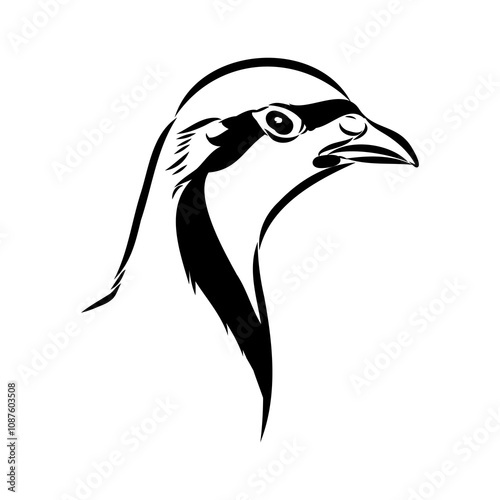 Asian partridge, vector sketch, chukar