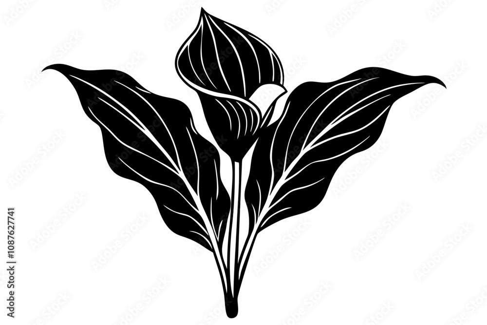 Silhouette of a Canna Lily Simple and Artistic Design Silhouette of a Canna Lily Simple and Artistic Design