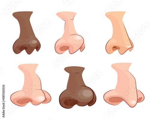Set of light-skinned and dark-skinned noses in cartoon style. Vector illustration of noses of different shapes and sizes isolated on white background. With humps, straight, eagle-shaped, snub noses.