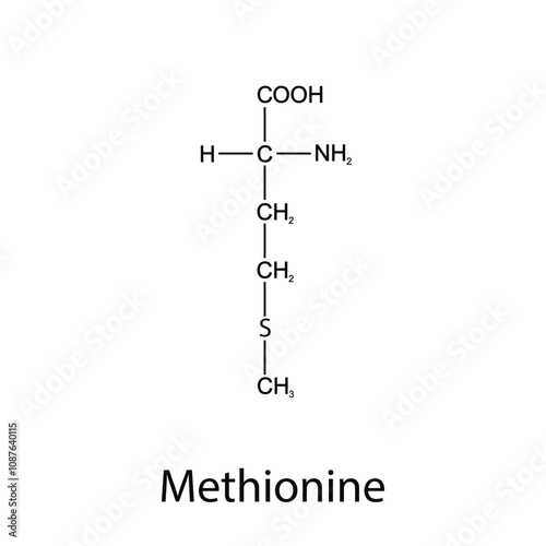 Chemical formula of methionine. Essential amino acids. Organic chemistry. Vector.