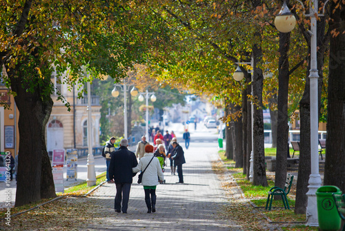 People walking in the park.