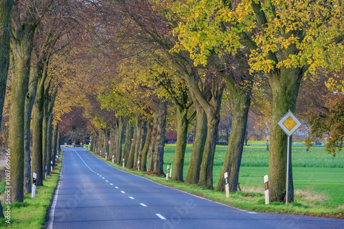 Herbstliche Strassen im Münstrerland photo