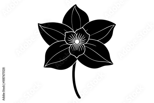 Elegant Line Silhouette Drawing of a Hellebore Flower