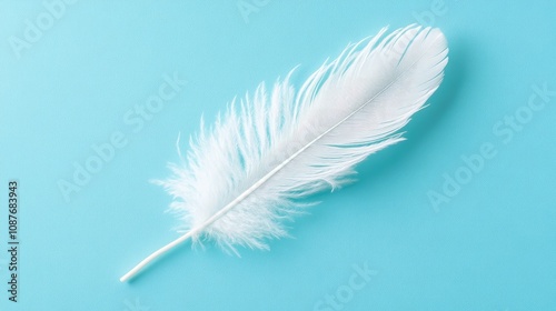 White feather lying on a soft blue background, creating a calming visual with gentle shadows that highlight its texture.