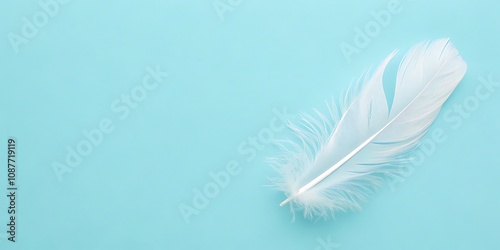 Minimalist feather design on pastel blue background for modern decor