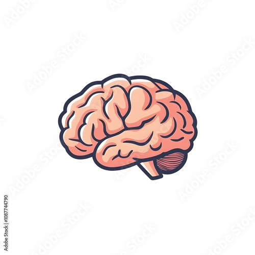 Brain